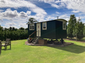 The Rowan Shepherds Hut